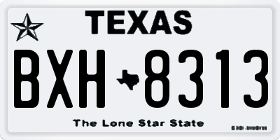 TX license plate BXH8313