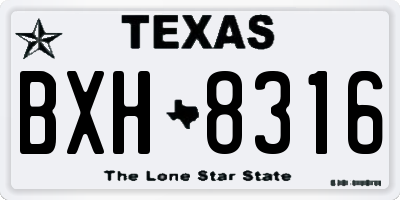 TX license plate BXH8316