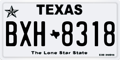 TX license plate BXH8318
