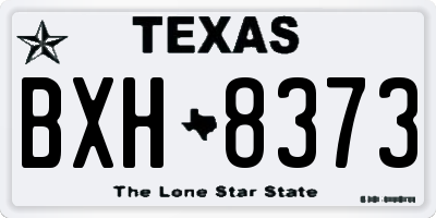 TX license plate BXH8373