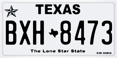 TX license plate BXH8473
