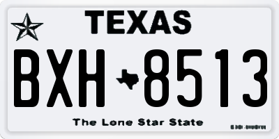 TX license plate BXH8513