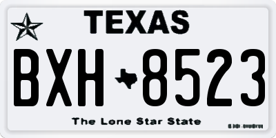 TX license plate BXH8523