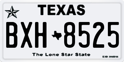 TX license plate BXH8525