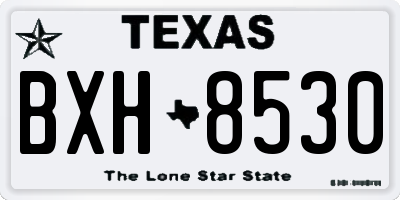 TX license plate BXH8530