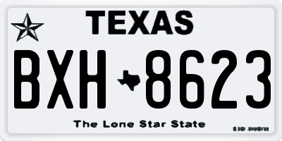 TX license plate BXH8623