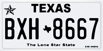 TX license plate BXH8667