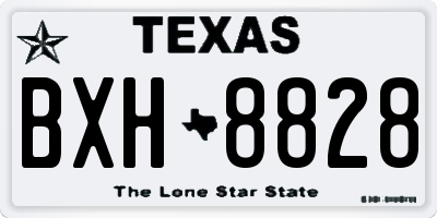 TX license plate BXH8828