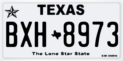 TX license plate BXH8973