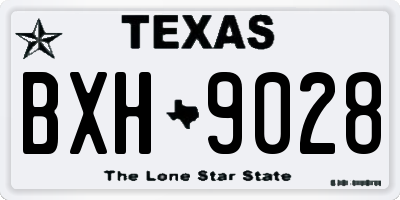 TX license plate BXH9028