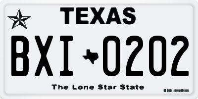 TX license plate BXI0202