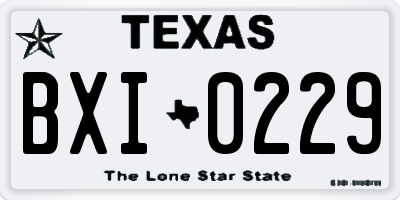 TX license plate BXI0229