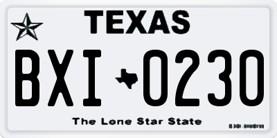 TX license plate BXI0230