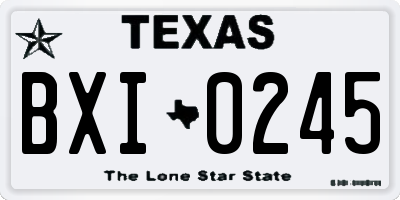 TX license plate BXI0245