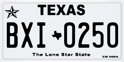 TX license plate BXI0250