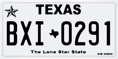 TX license plate BXI0291