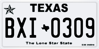TX license plate BXI0309