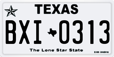 TX license plate BXI0313