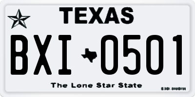 TX license plate BXI0501