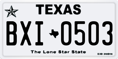 TX license plate BXI0503