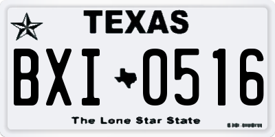 TX license plate BXI0516