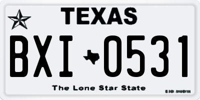TX license plate BXI0531