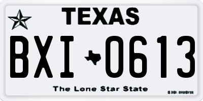 TX license plate BXI0613