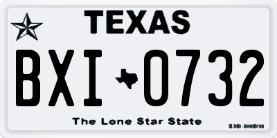 TX license plate BXI0732