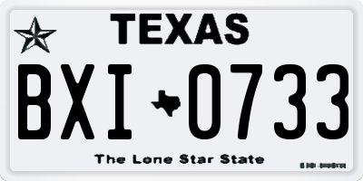 TX license plate BXI0733
