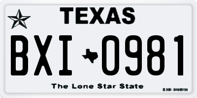 TX license plate BXI0981