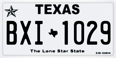 TX license plate BXI1029