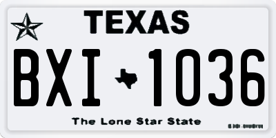 TX license plate BXI1036