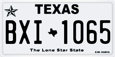 TX license plate BXI1065