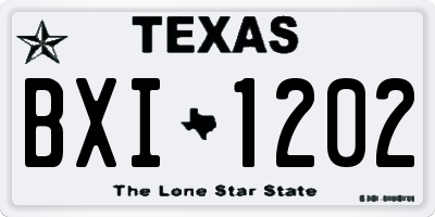 TX license plate BXI1202