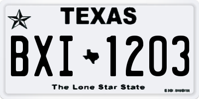 TX license plate BXI1203