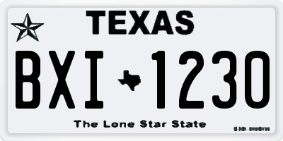 TX license plate BXI1230