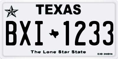 TX license plate BXI1233