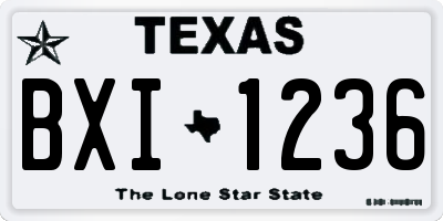 TX license plate BXI1236