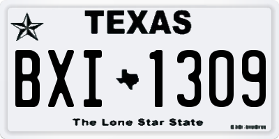 TX license plate BXI1309