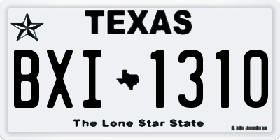 TX license plate BXI1310