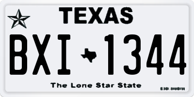 TX license plate BXI1344