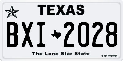 TX license plate BXI2028