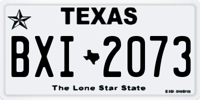 TX license plate BXI2073