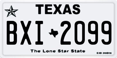 TX license plate BXI2099