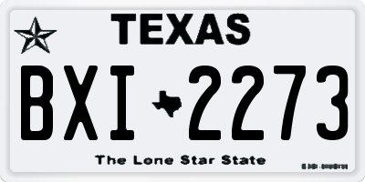 TX license plate BXI2273