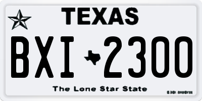 TX license plate BXI2300