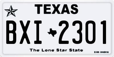 TX license plate BXI2301