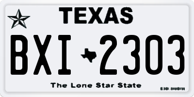 TX license plate BXI2303