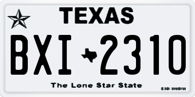 TX license plate BXI2310
