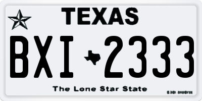 TX license plate BXI2333
